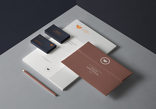 國際高端Aegis教育集團(tuán)品牌戰(zhàn)略定位案例 