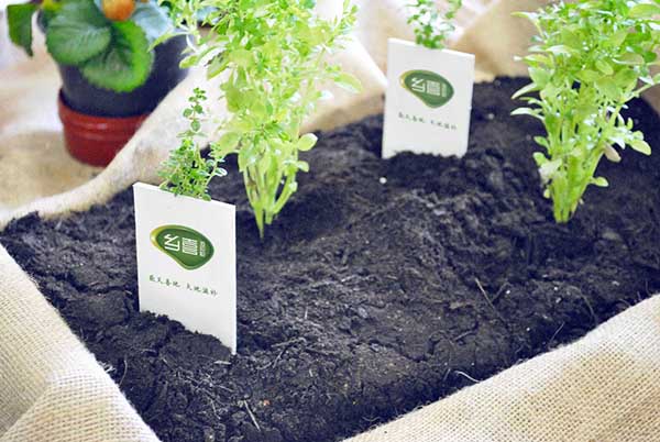 鄉喜液體肥品牌整合塑造-傳統行業的創新啟明！