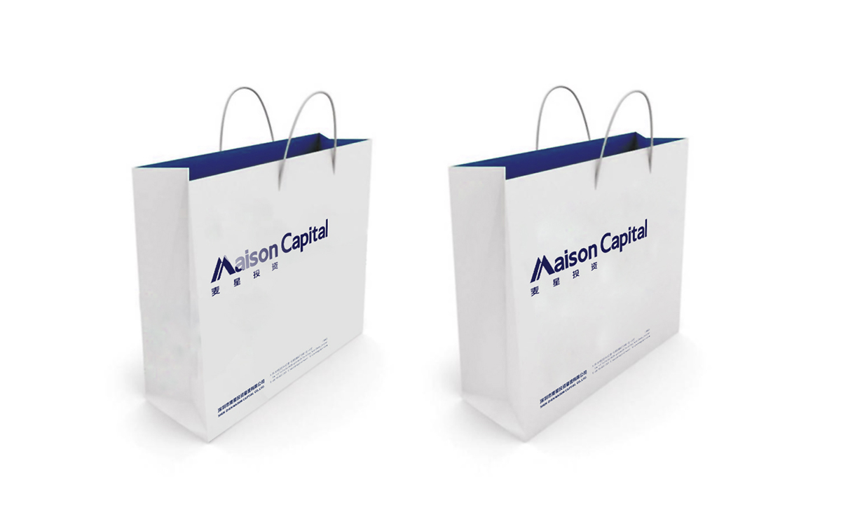 麥星投資金融品牌形象設計