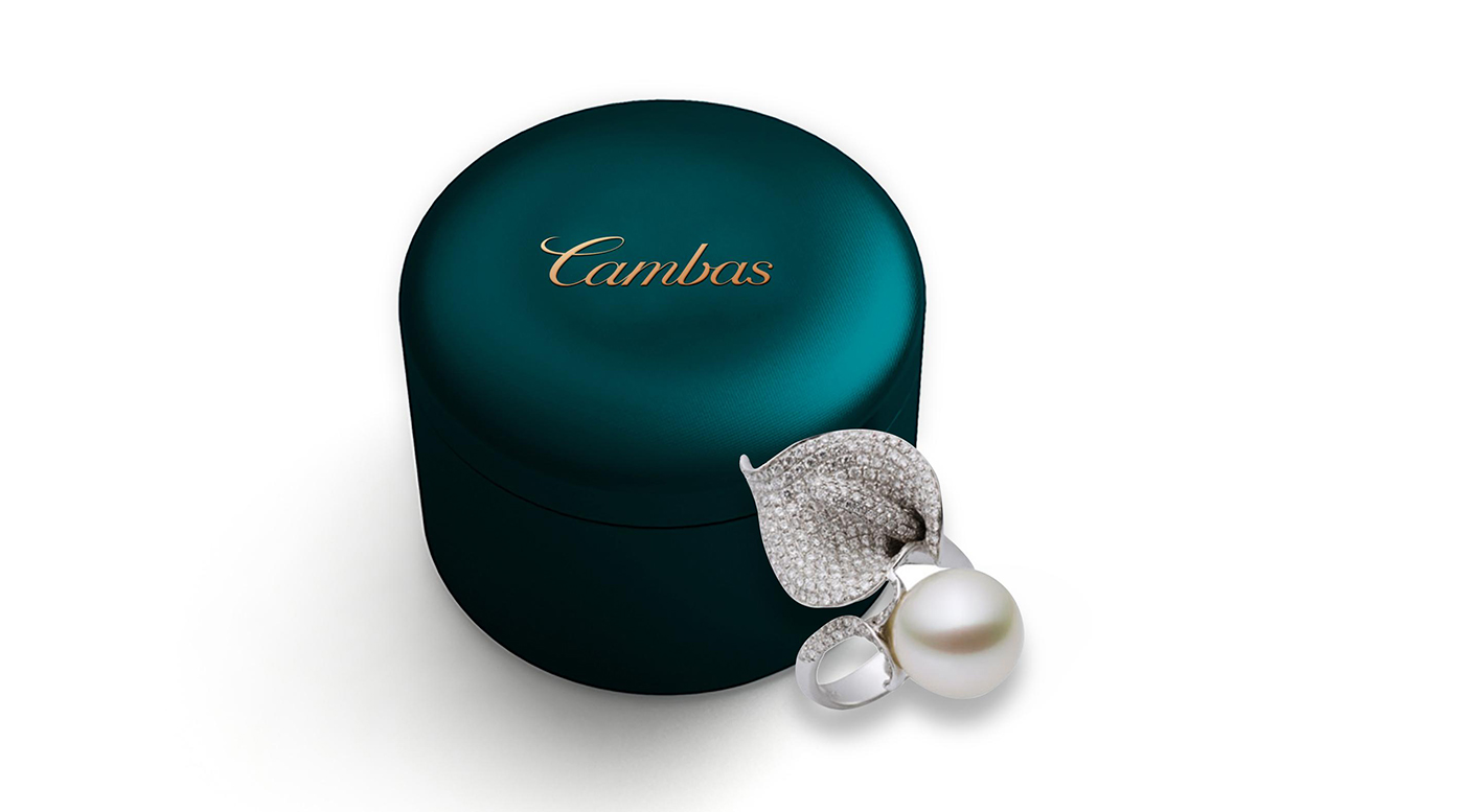 深圳輕奢珠寶策劃設(shè)計(jì)全案